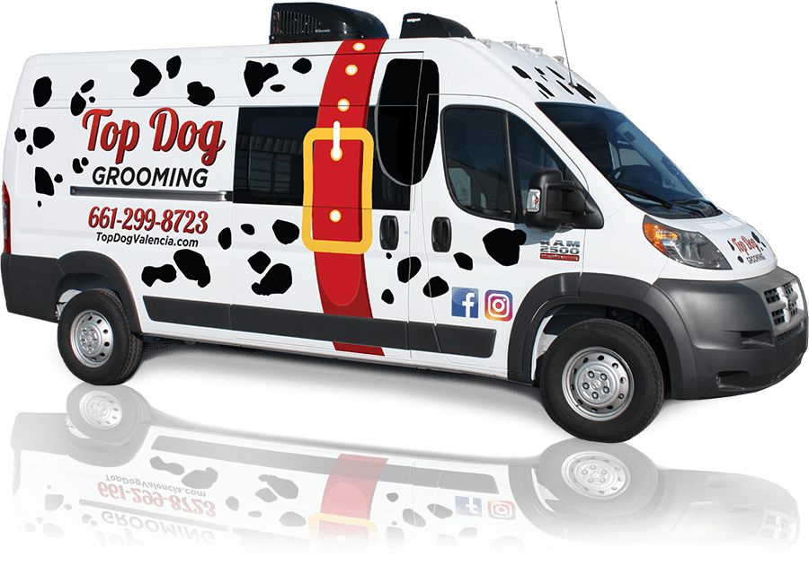 Curbside clippers outlet mobile dog grooming